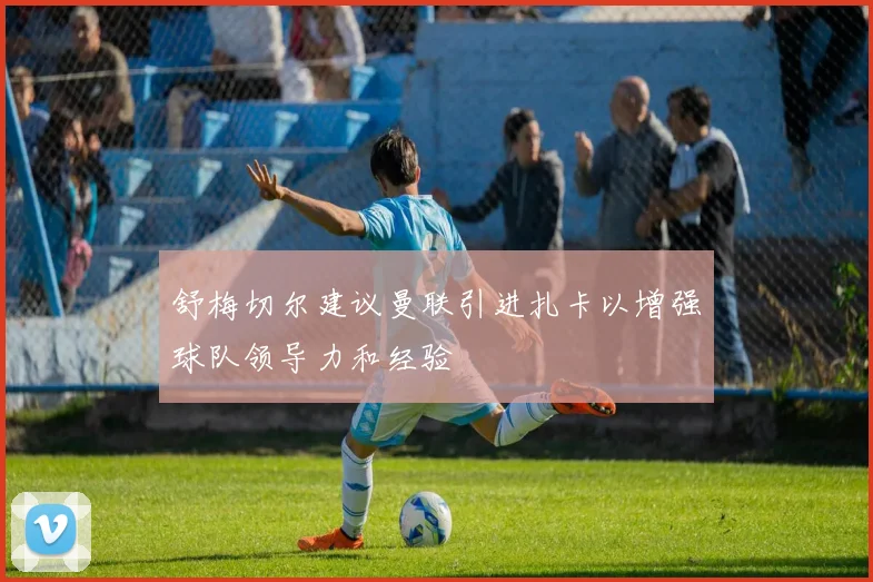 舒梅切尔建议曼联引进扎卡以增强球队领导力和经验