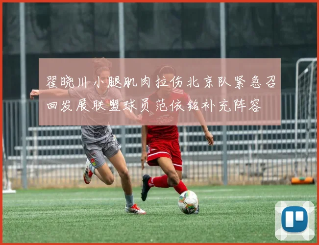 翟晓川小腿肌肉拉伤北京队紧急召回发展联盟球员范依铭补充阵容